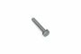 Originele zeskantbout (combi) (M8X50)