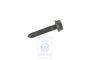 Volkswagen zeskantbout versnellingsbak M12x62x48