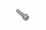 Originele inbusbout met inbus- kop (combi) (M10X40)
