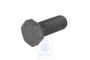Volkswagen zeskantbout M10x24,5