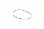 Originele o-ring (171MM x 3,5MM)