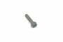 Originele zeskantbout (combi) (M10X45)