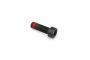 Originele inbusbout met poly-inbuskop (M10X1X29)