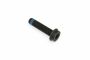 Originele inbusbout met poly-inbuskop (M10X1X41)