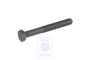 Volkswagen Lupo zeskantbout motorblok M11x86x50 (AHT)