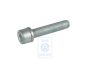 Volkswagen Passat B5 (3B) inbusbout achterremklauwhuis M10x1,25x50