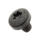 Originele cilinderkopschroef met inwendige torx, zelftappend (M6X7)