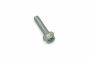 Originele inbuskraagbout met poly-inbuskop (M12X60)