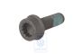 Volkswagen Torx-cilinderkopschroef M10x1x30