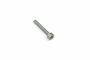 Originele inbusbout met poly-inbuskop (M10X70)