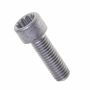Originele inbusbout met poly-inbuskop (M8X25 N 910 059)