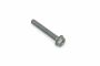 Originele zeskantbout (M10X70)