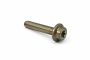 Originele inbusbout (M6X30)