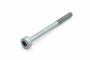 Originele inbusbout met poly-inbuskop (M8X105X41)