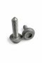 Originele inbusbout met poly-inbuskop (M8X32)