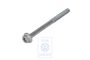 Volkswagen zeskantflensbout kettingspanner M7x90x39