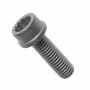Originele inbusbout met poly- inbuskop (combi) (M8X25)