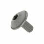 Originele inbusbout met platte kop (M6X12)