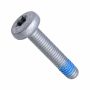Originele inbusbout met platte kop (M6X30)