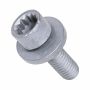Originele inbusbout met poly- inbuskop (combi) (M8X25)