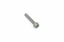 Originele inbuskraagbout met poly-inbuskop (M10X60)