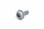 Originele inbusbout met poly-inbuskop (M8X25)