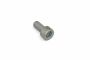 Originele inbus- bout (M12X25)