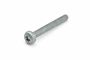 Originele inbusbout met platte kop (M8X65)