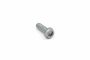 Originele inbuskraagbout met poly-inbuskop (M10X29)