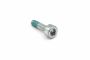 Originele inbus- bout (M8X30)