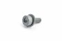 Originele inbusbout met poly- inbuskop (combi) (M8X25)