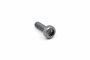 Originele platkopschroef met poly-inbus (M8X25)