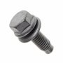 Originele zeskantflensbout (combi) (M10X30)