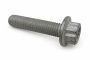 Originele poly-inbusflensbout (M10X45)
