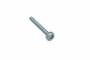 Originele platkopschroef met poly-inbus (M6X52)