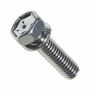 Originele zeskantbout met kraag (M6X21)