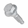 Originele kraagbout (M10X13,6X45)