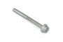 Originele inbuskraagbout met poly-inbuskop (M10X120X55)