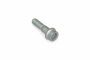 Originele pasbout met poly-inbuskop (M10X1,5X40)