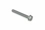 Originele zeskantbout (M8X60)