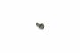 Originele zeskantbout (combi) (M4X10)