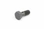 Originele banjobout (M10X1)