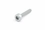 Originele poly-inbusbout (M8X45)