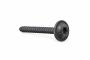 Originele platkopschroef met poly-inbus (4X35 zilver)