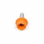 Originele flensbout met inwendige torx (M6X20)