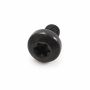 Originele inbusbout (M6X10)