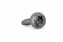 Originele inbusparker -W715970-S450 (M6X16)