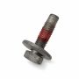 Originele combibout -W717376-S439 (M10X30)