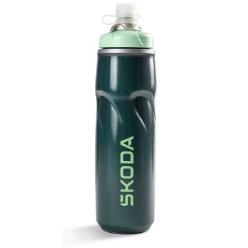 Originele isoleerbidon (620 ml)