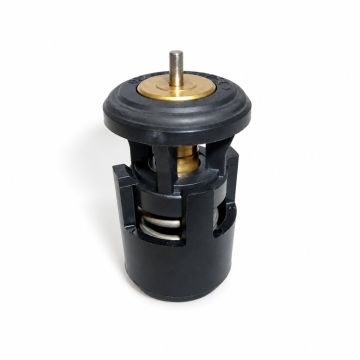 Originele thermostaat